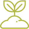 plantation