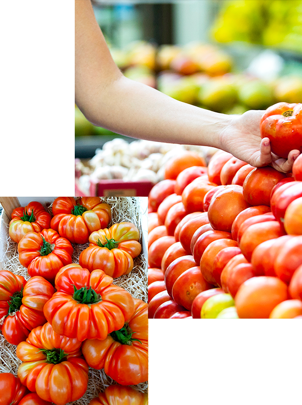 Commercialisation-tomates